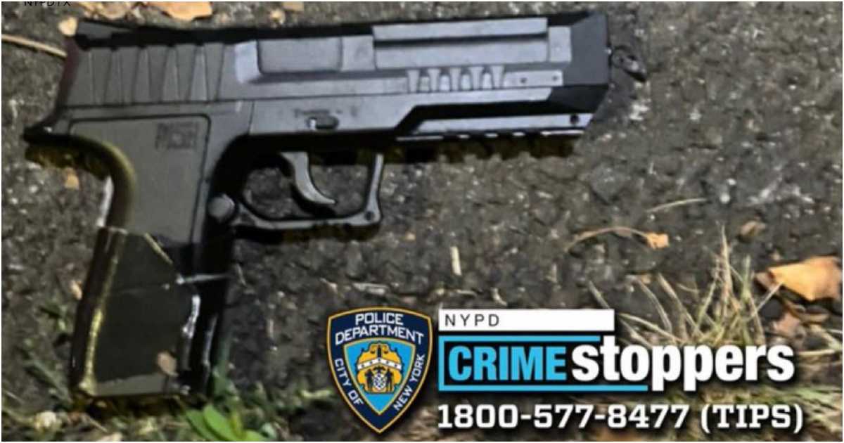 স্ট্যাটেন আইল্যান্ডের বন্দুকধারীর কাছে ছিল নকল বন্দুক। ছবি: এনওয়াইপিডি